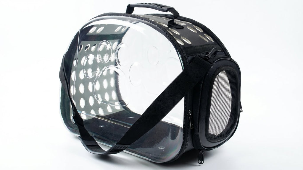 Transparent Travel Carrier