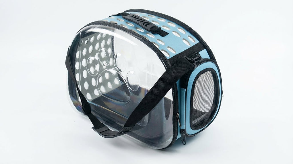 Transparent Travel Carrier